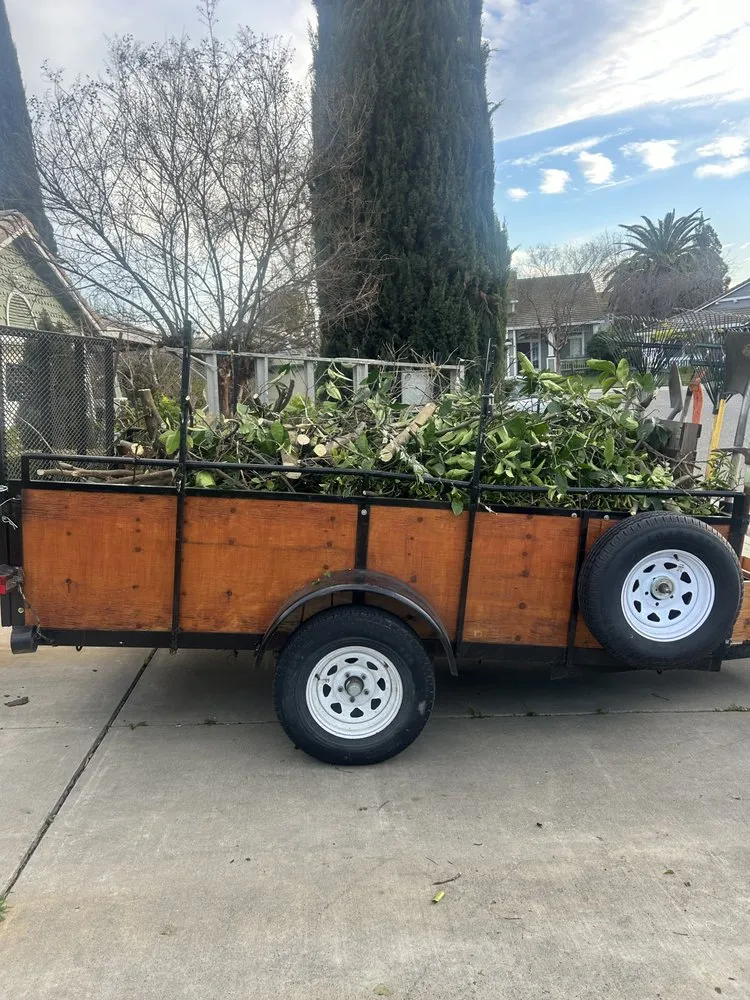 Trusted landscaping services in Lodi, CA - Reyes Yard Work