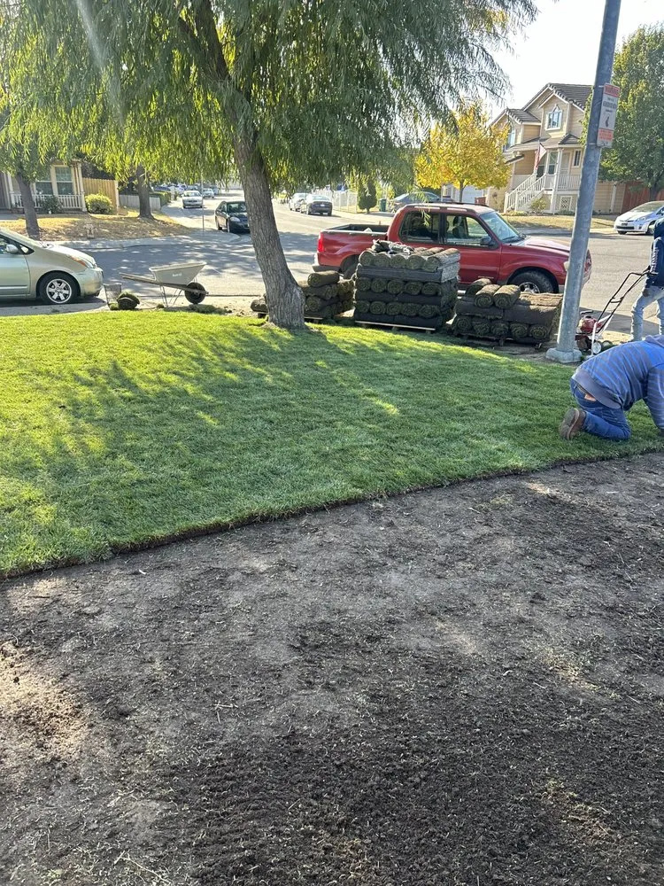 Affordable yard maintenance in Lodi, CA by Reyes Yard Work