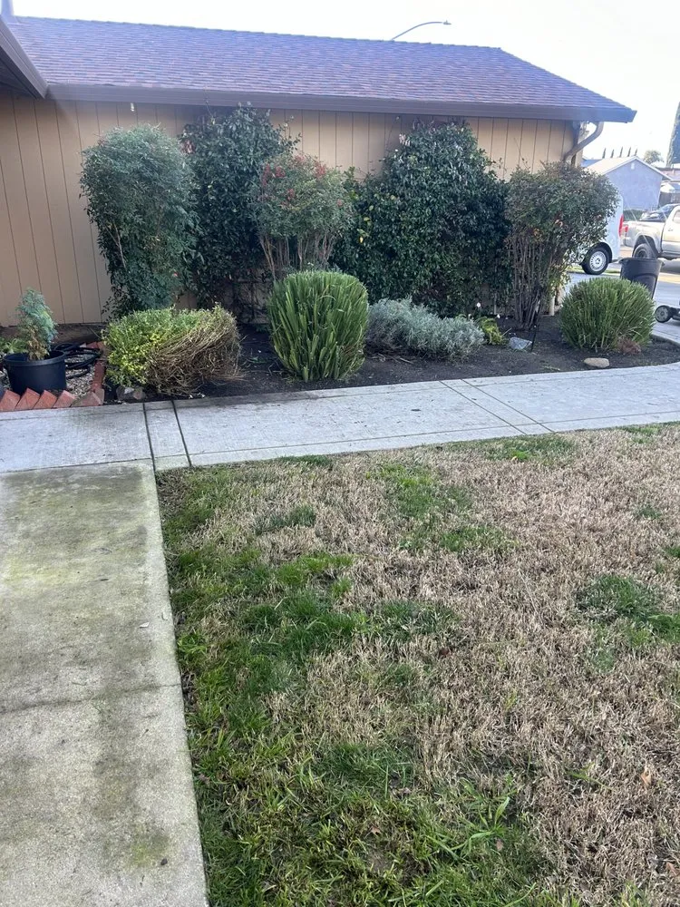 Custom lawn mowing service in Lodi, CA by Reyes Yard Work