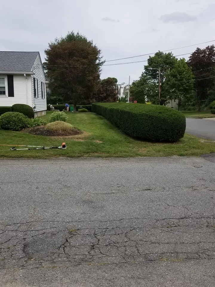 Professional landscape design experts serving Providence, RI - Reyky Landscaping and Masonry