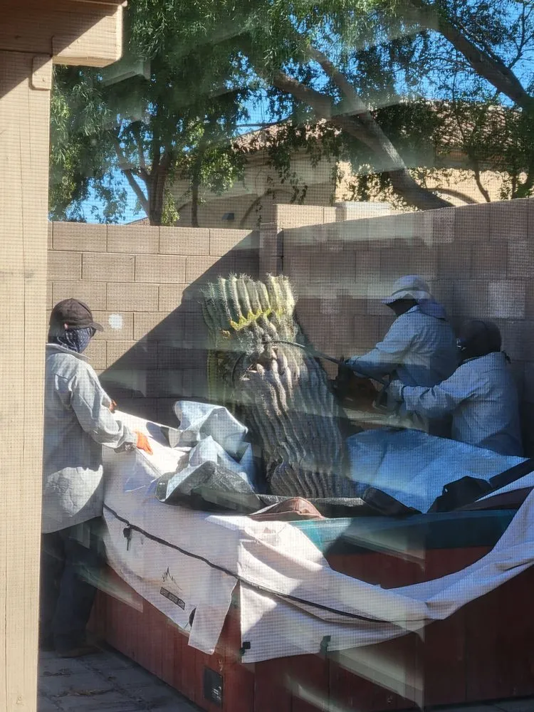 Expert landscape installation for year-round maintenance in Phoenix, AZ by Reymundo Landscaping