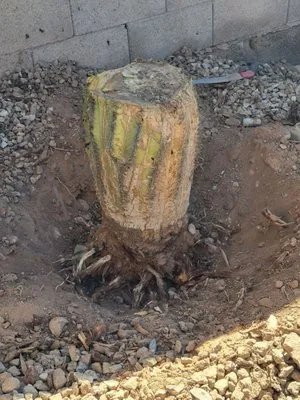 Reymundo Landscaping Logo