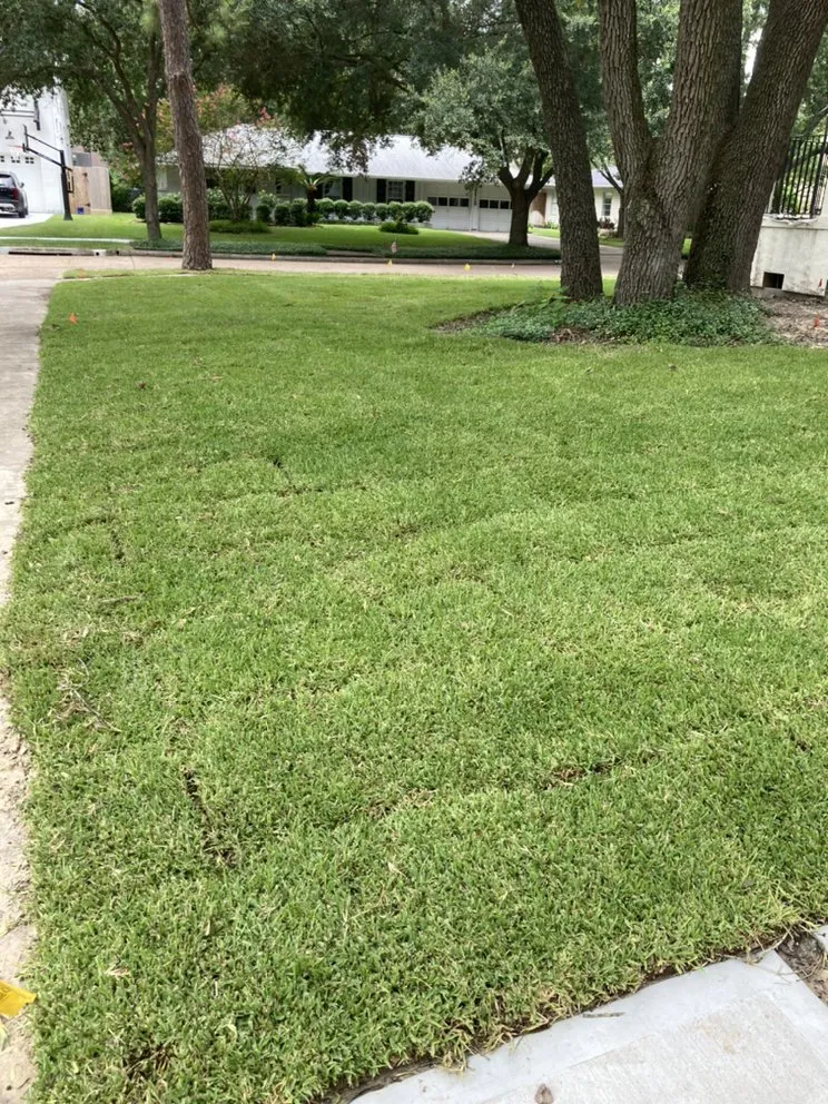 Custom garden landscaping for beautiful yards across College Station, TX - Reyna Landscapes