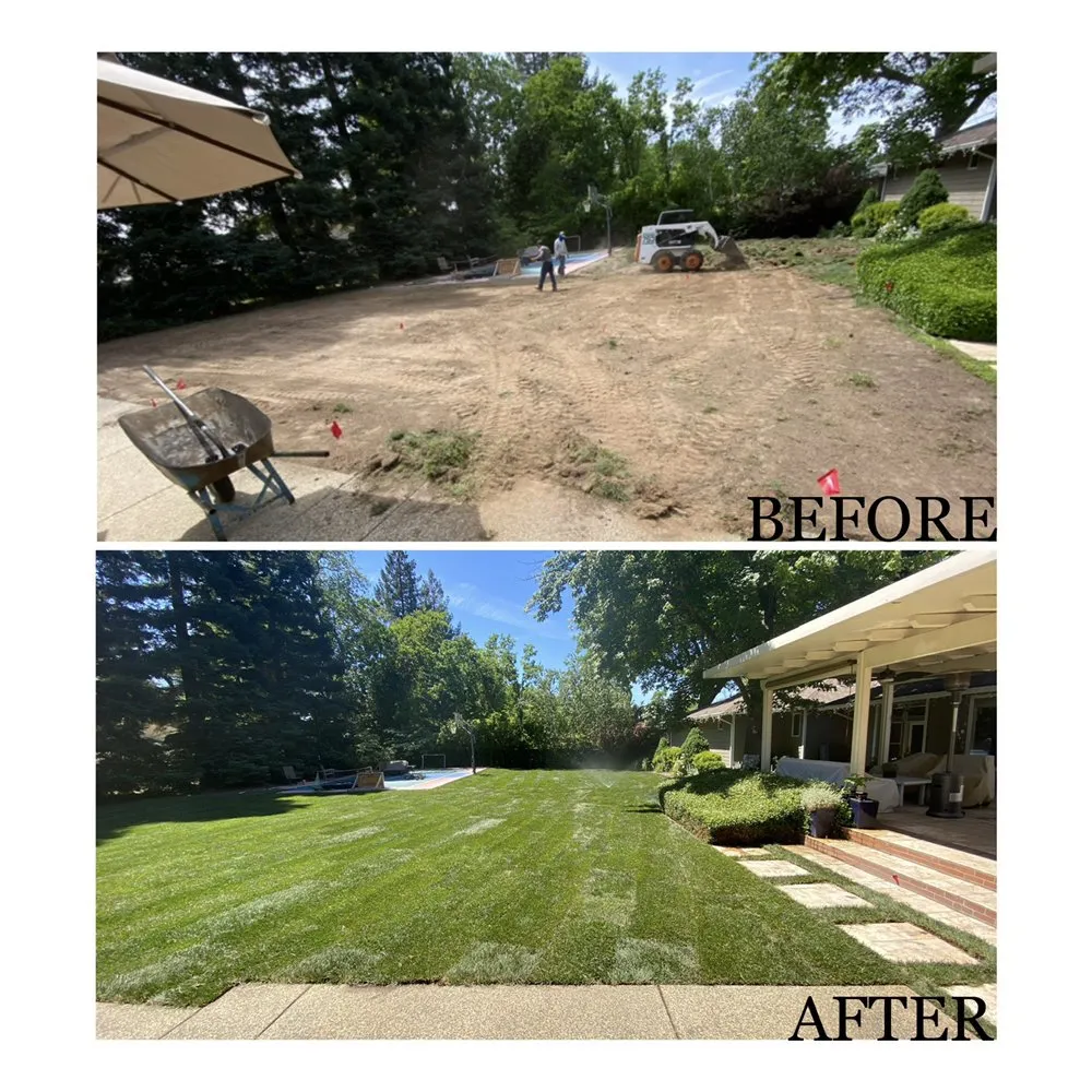 Reliable landscaping services in Orangevale, CA by Reyna Landscaping & Maintenance