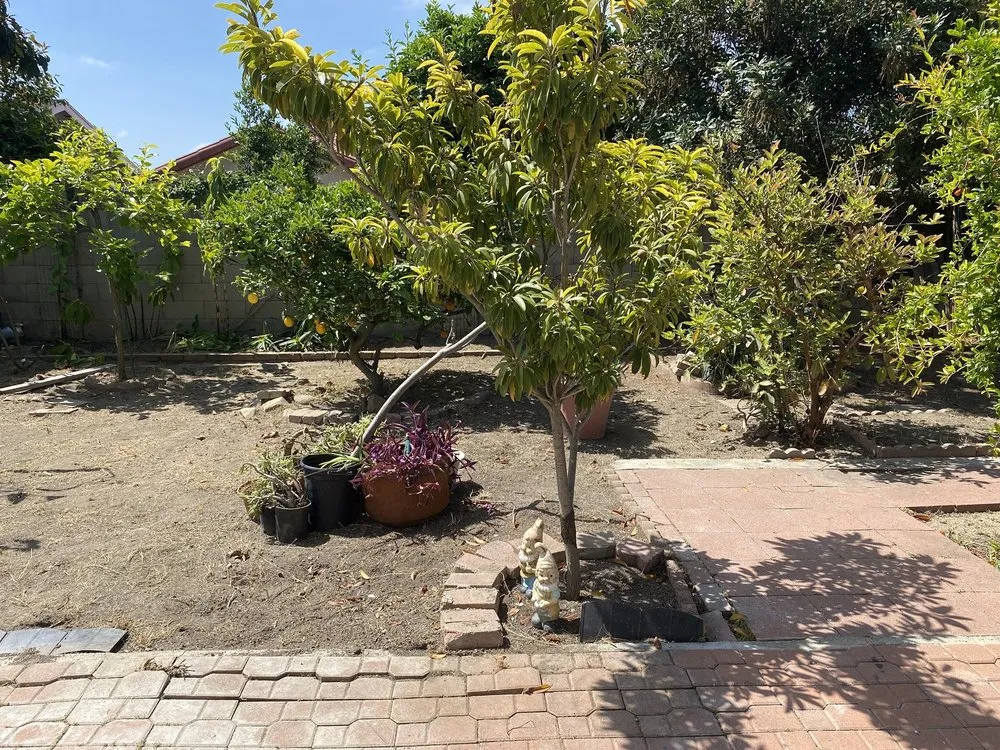 Professional lawn mowing service in La Habra, CA by Reynaldo Landscape Inc.