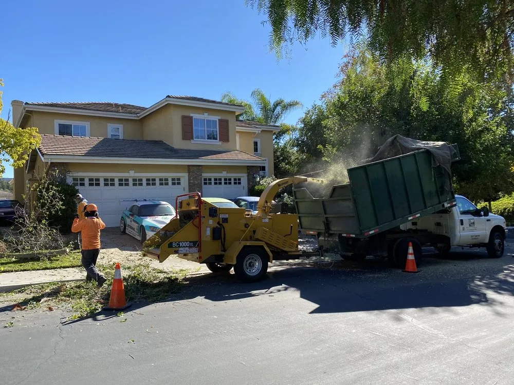 Affordable yard cleanup service experts serving La Habra, CA - Reynaldo Landscape Inc.