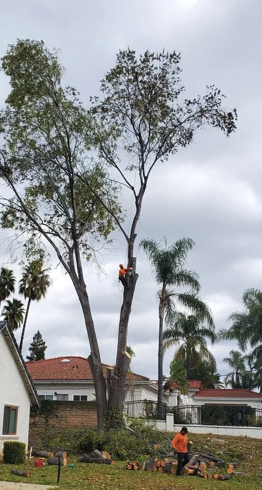 Local landscape installation experts serving La Habra, CA - Reynaldo Landscape Inc.