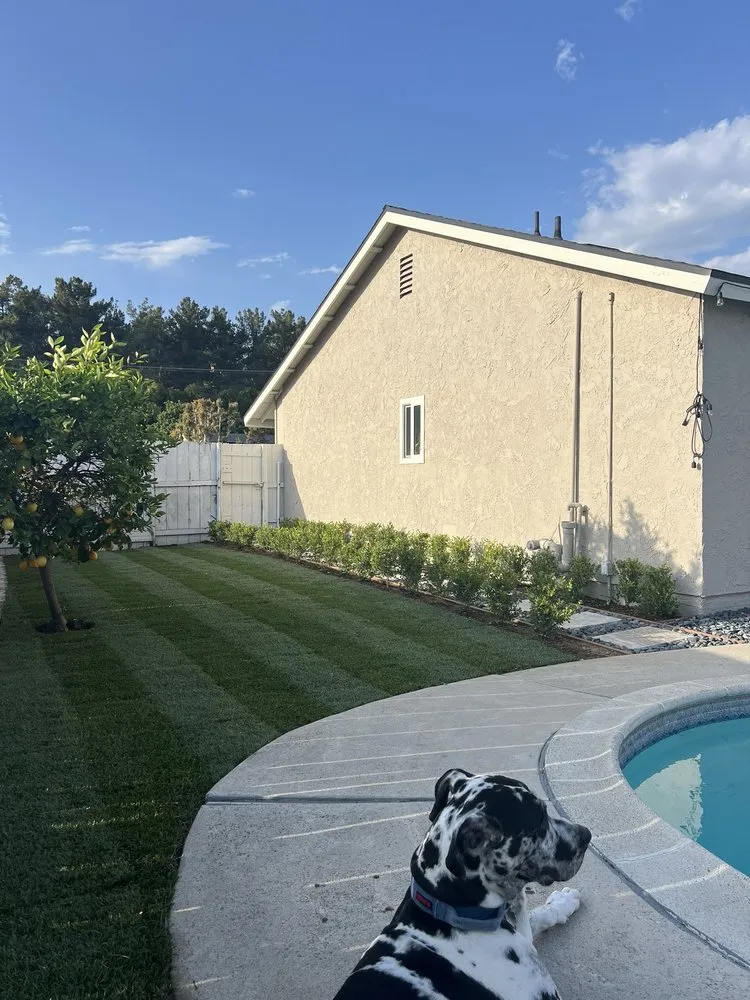 Trusted lawn care service experts serving La Habra, CA - Reynaldo Landscape Inc.