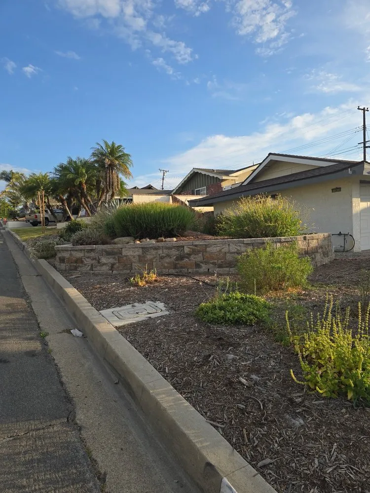 Expert yard cleanup service with custom design across La Habra, CA - Reynaldo Landscape Inc.