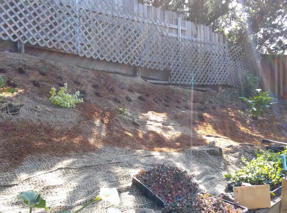 Local residential landscaping experts serving Santa Cruz, CA - Reyna's Lawn Care