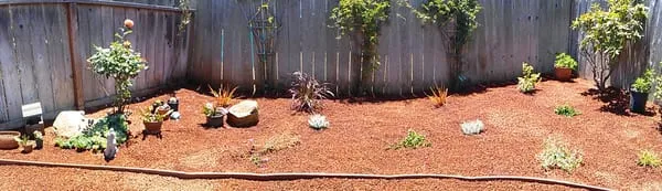 Reyna's Lawn Care Logo