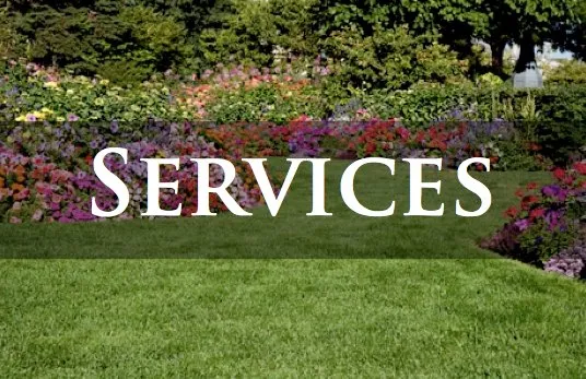 Trusted landscape installation experts serving Houston, TX - Reyna's lawn services