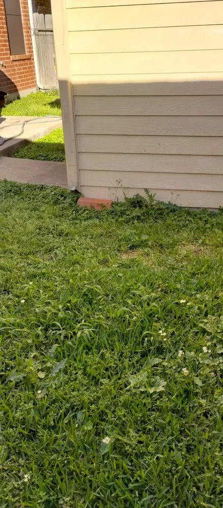 Top-rated yard maintenance in Houston, TX - Reyna's lawn services