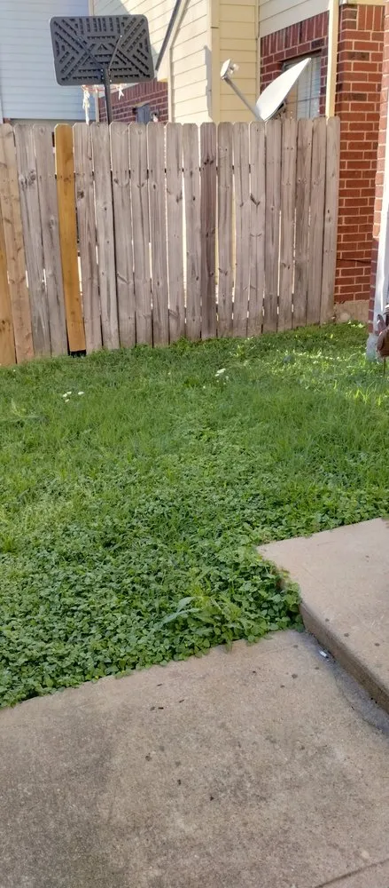 Reliable yard cleanup service experts serving Houston, TX - Reyna's lawn services