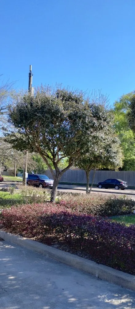 Top-rated landscape design experts serving Houston, TX - Reyna's lawn services