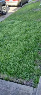 Reyna's lawn services Logo