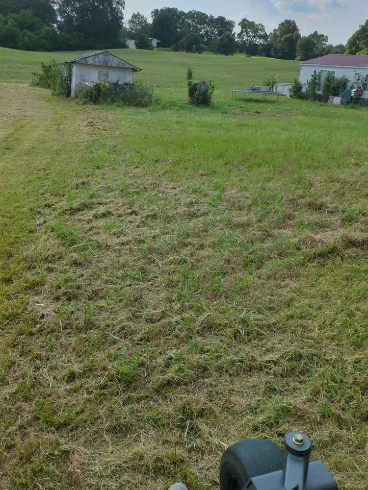 Reliable lawn care service with custom design across Dyersburg, TN - Reynolds & Son Lawn Care