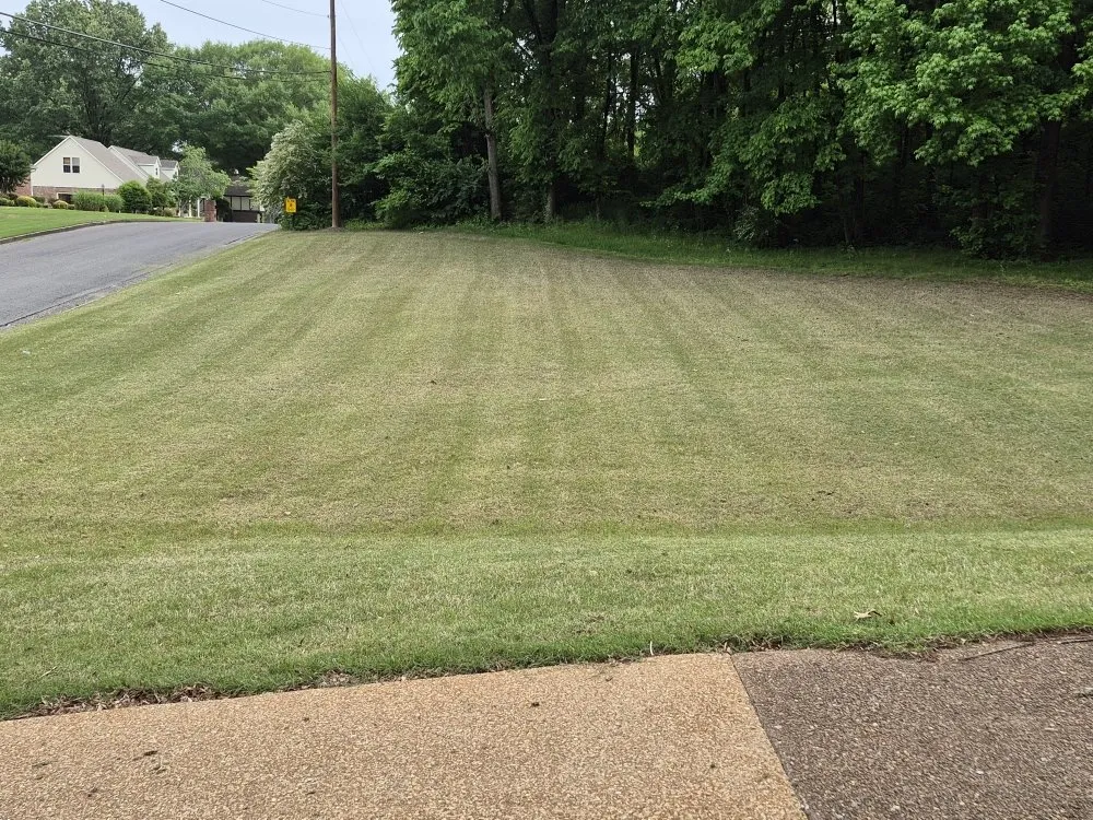 Trusted yard cleanup service for year-round maintenance in Dyersburg, TN by Reynolds & Son Lawn Care