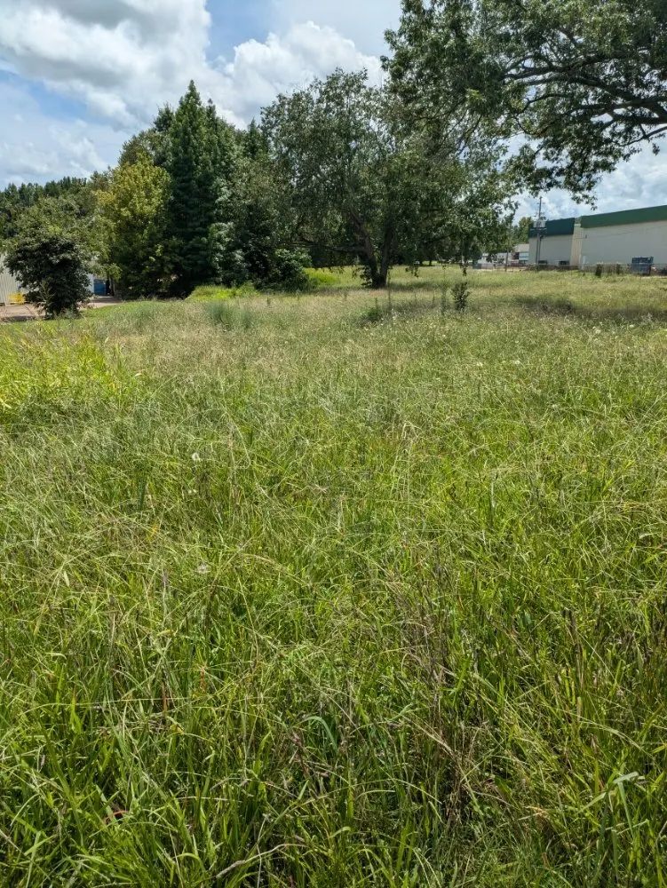 Trusted lawn care service for outdoor upgrades in Dyersburg, TN by Reynolds & Son Lawn Care