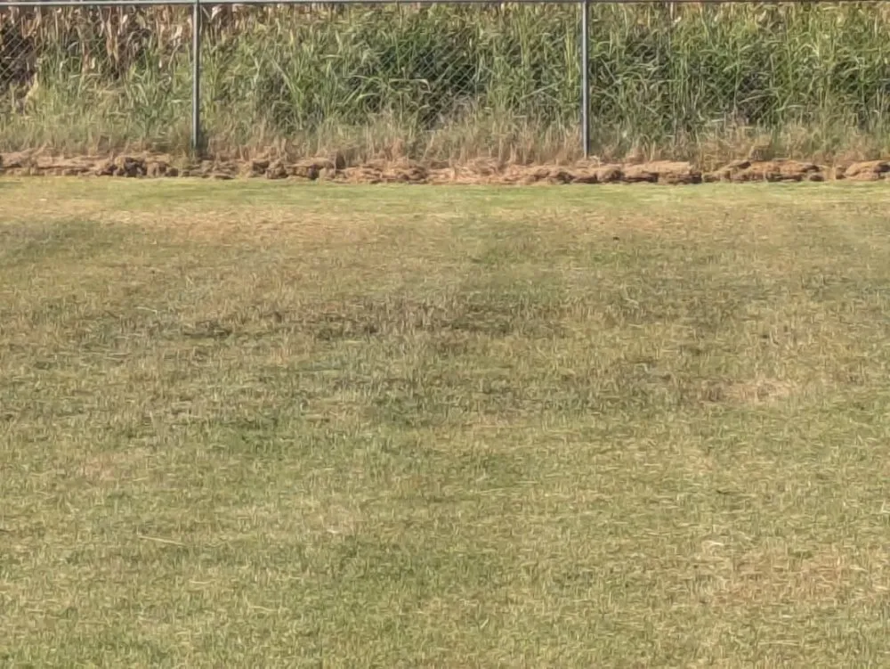 Trusted garden landscaping in Dyersburg, TN - Reynolds & Son Lawn Care