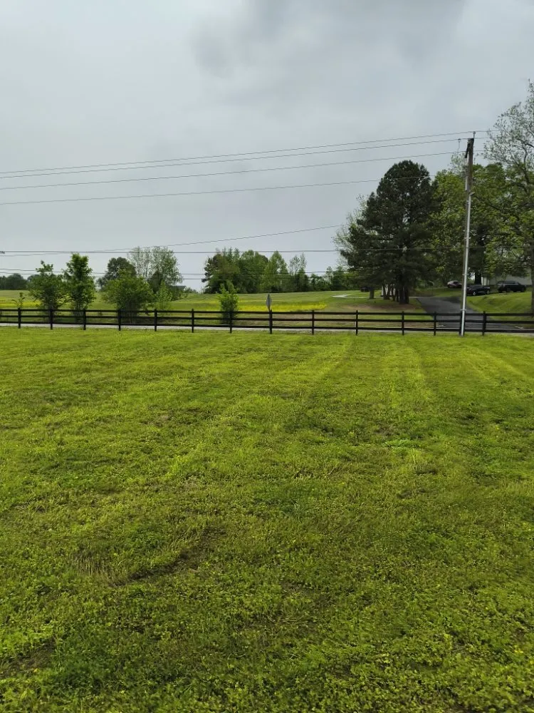 Top-rated yard maintenance near you across Dyersburg, TN - Reynolds & Son Lawn Care