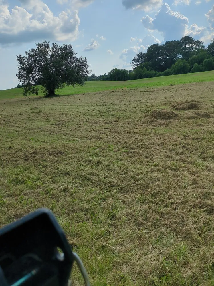 Local lawn care service experts serving Dyersburg, TN - Reynolds & Son Lawn Care