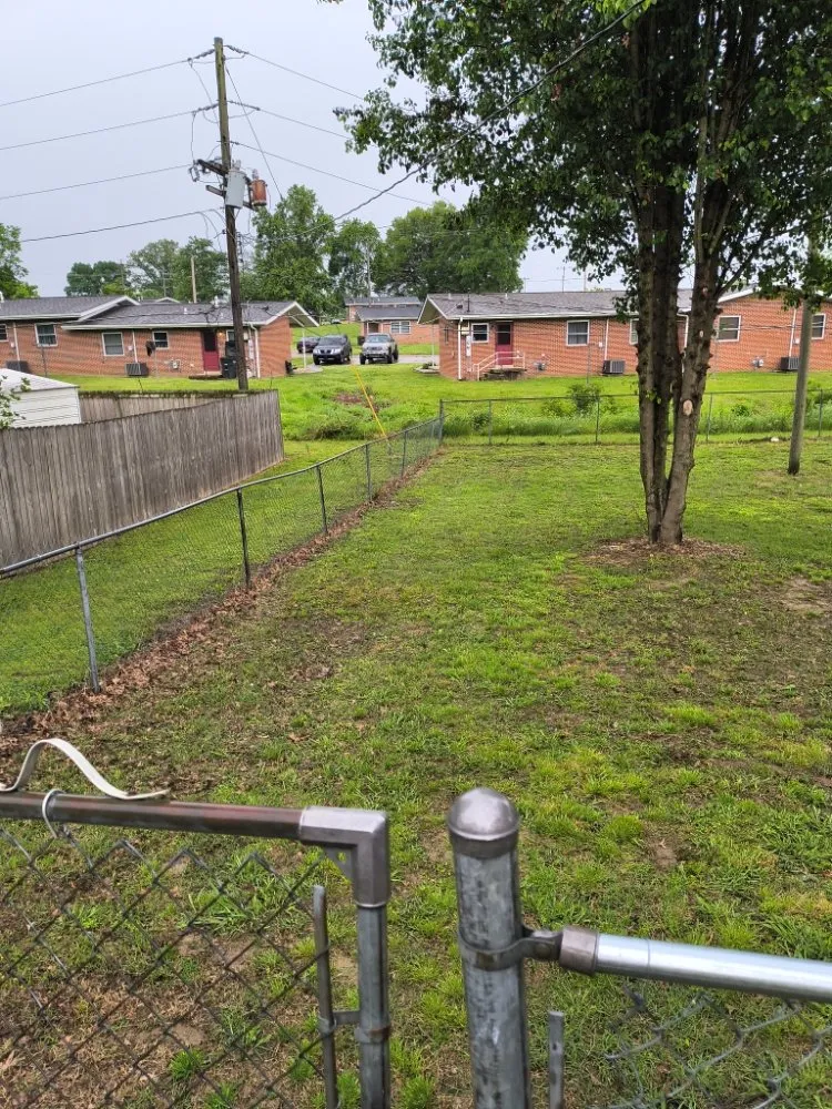 Affordable yard cleanup service for outdoor upgrades in Dyersburg, TN by Reynolds & Son Lawn Care