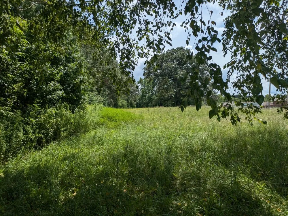 Affordable lawn care service in Dyersburg, TN by Reynolds & Son Lawn Care