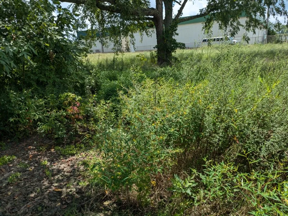 Custom landscape design for residential properties in Dyersburg, TN by Reynolds & Son Lawn Care