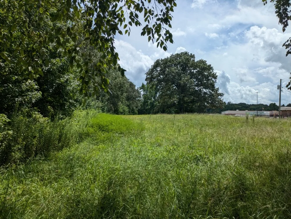 Professional landscape design in Dyersburg, TN by Reynolds & Son Lawn Care