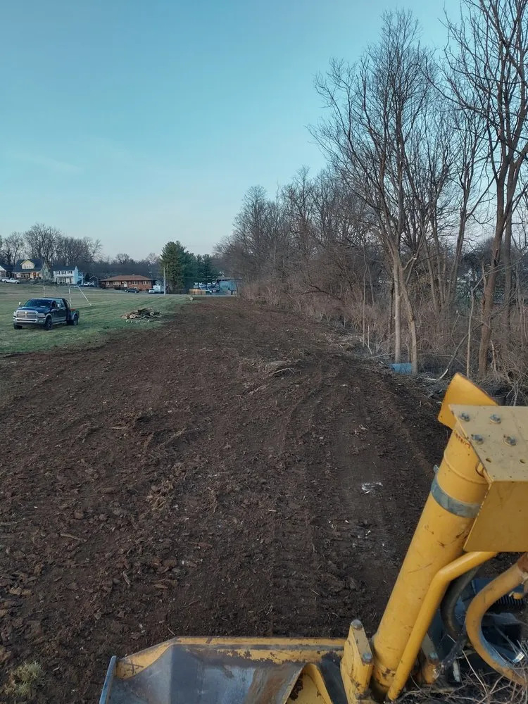 Reliable yard cleanup service experts serving Harrodsburg, KY - Reynolds and Company