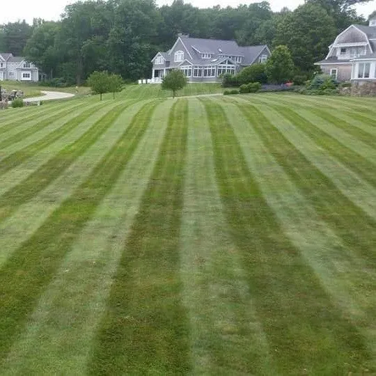 Local yard cleanup service in York, ME - Reynolds and Sons Lawncare