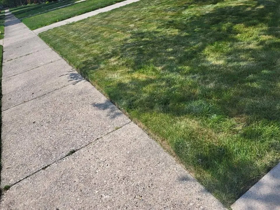 Custom yard maintenance for outdoor upgrades in Flint, MI by Reynolds