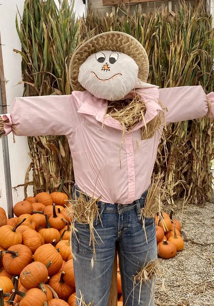 Trusted landscape installation in Manahawkin, NJ by Reynolds Garden Shop