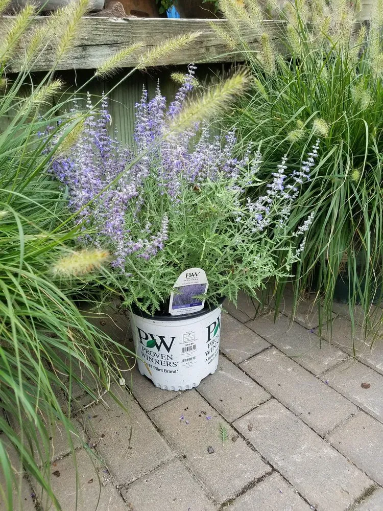 Expert yard cleanup service for year-round maintenance in Manahawkin, NJ by Reynolds Garden Shop