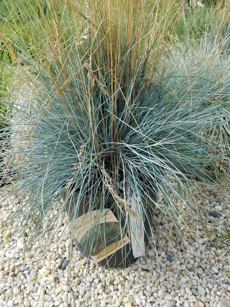 Top-rated yard maintenance for year-round maintenance in Manahawkin, NJ by Reynolds Garden Shop