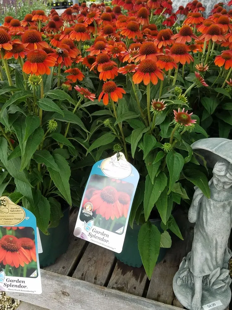 Professional landscape design in Manahawkin, NJ - Reynolds Garden Shop