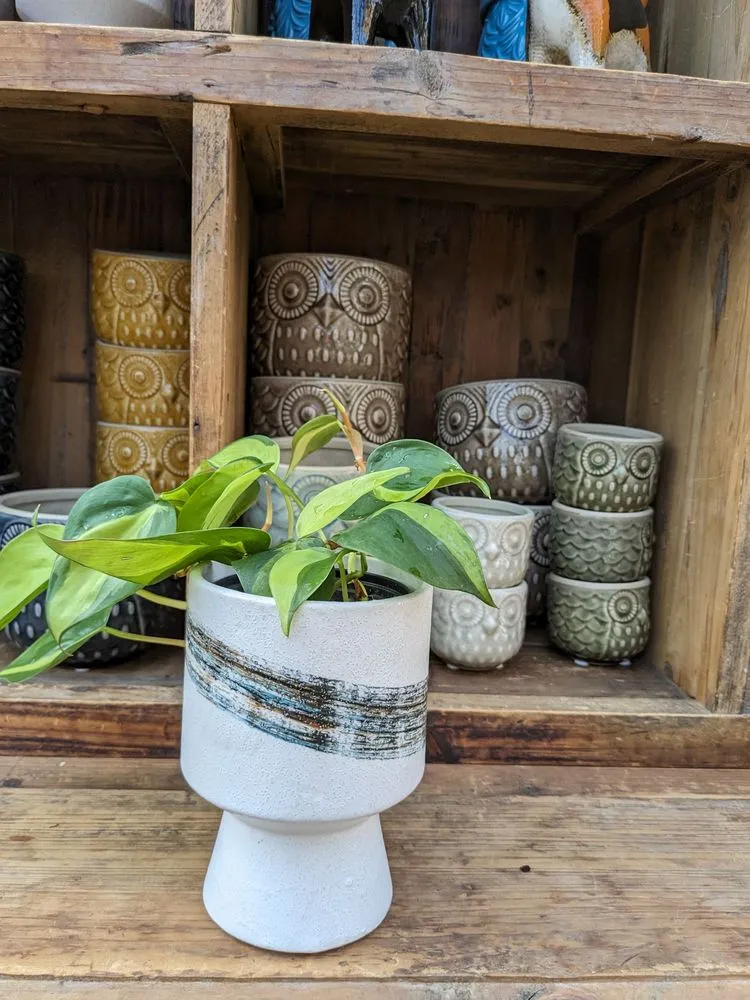 Affordable landscape design for year-round maintenance in Manahawkin, NJ by Reynolds Garden Shop