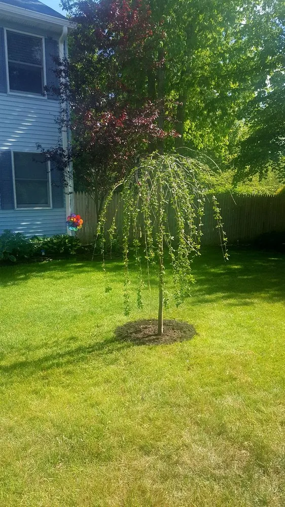 Local landscaping services in Manahawkin, NJ by Reynolds Garden Shop