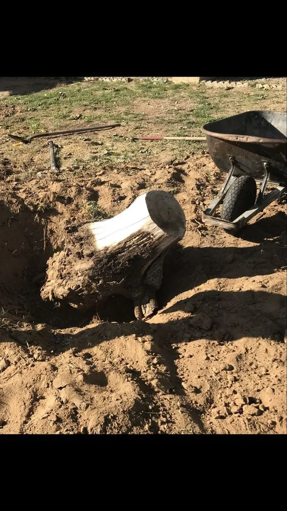 Professional yard maintenance for homes across Covina, CA - Reynolds Gardening & Landscaping