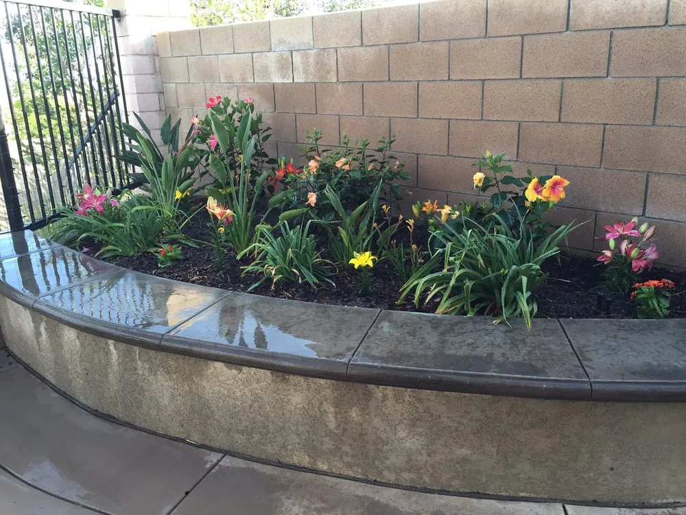 Professional yard maintenance for homes across Covina, CA - Reynolds Gardening & Landscaping