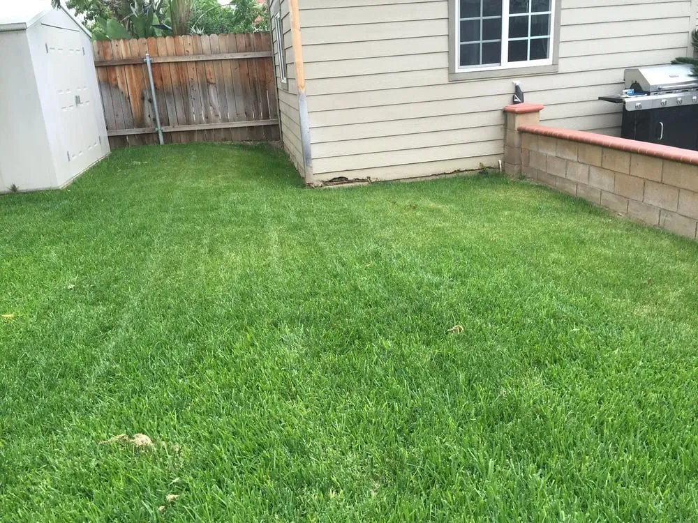 Custom landscape installation experts serving Covina, CA - Reynolds Gardening & Landscaping