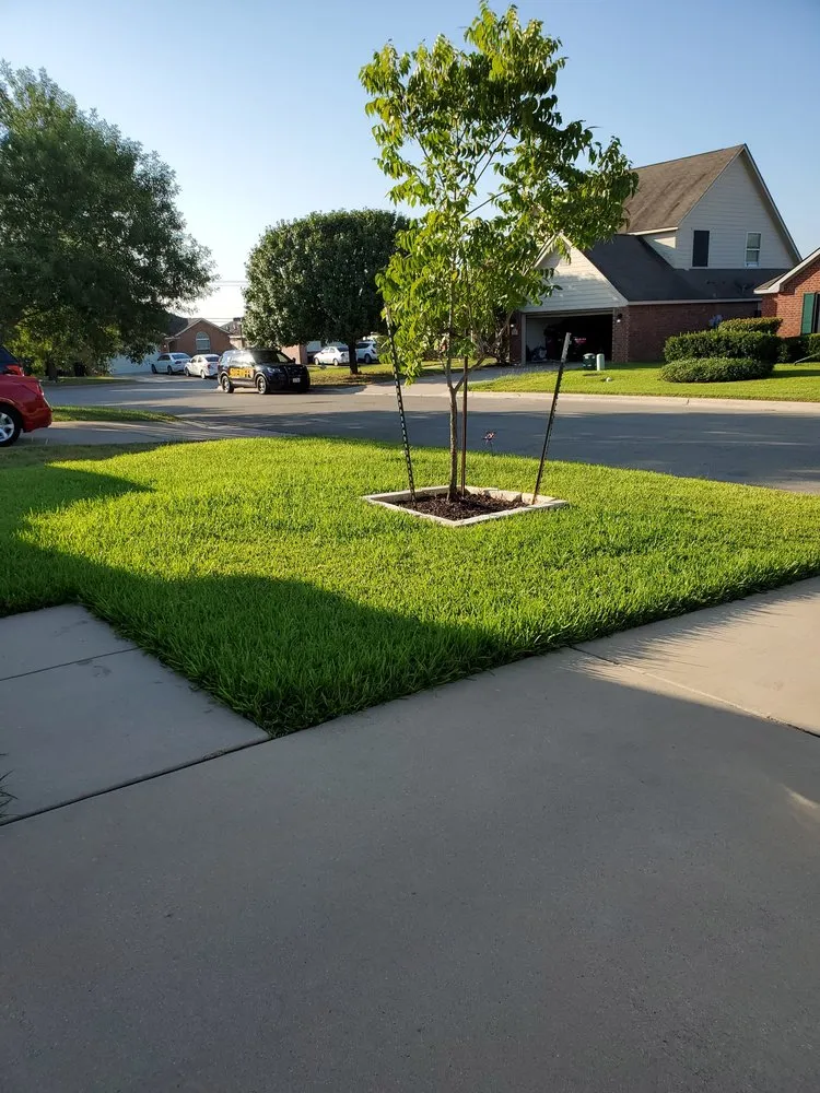 Professional landscaping services in Temple, TX - Reynolds Landscape and Irrigation