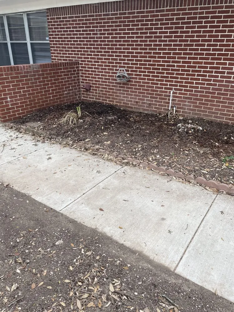 Top-rated yard maintenance near you across Temple, TX - Reynolds Landscape and Irrigation