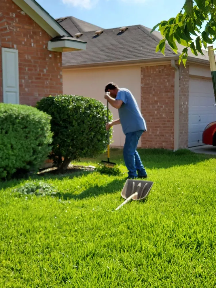 Top-rated yard maintenance for beautiful yards across Temple, TX - Reynolds Landscape and Irrigation