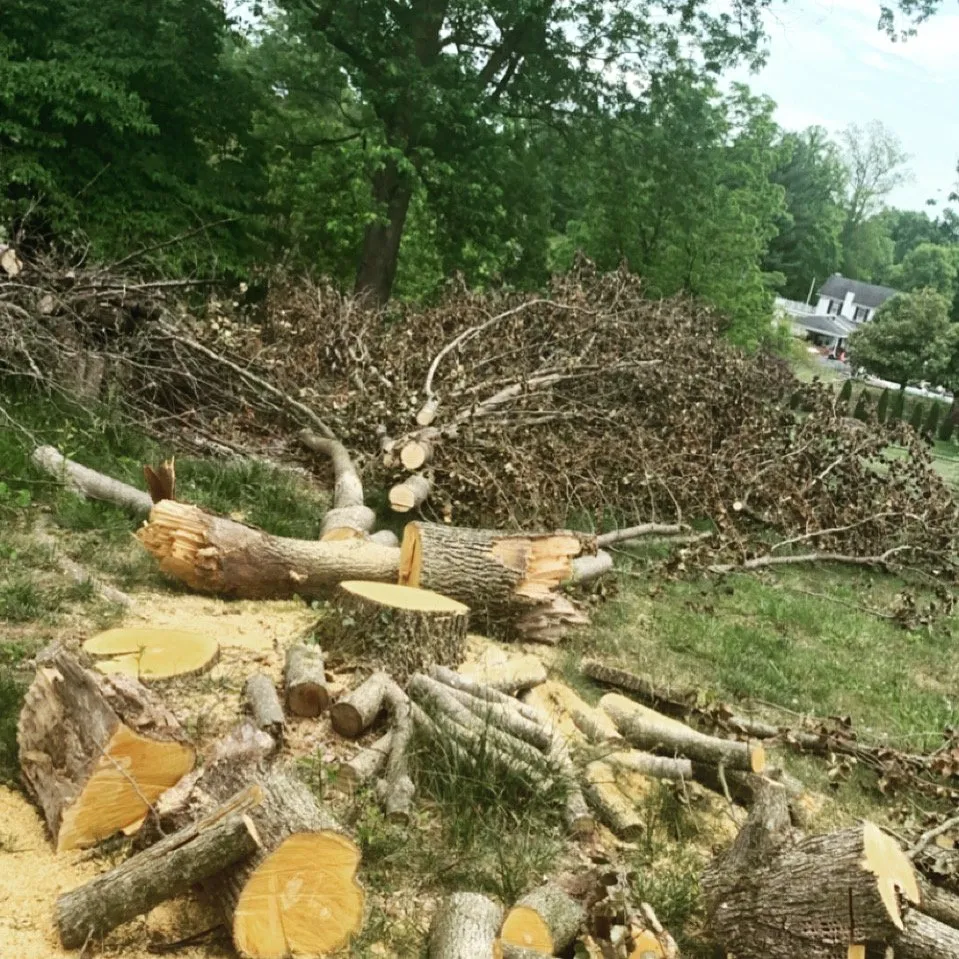 Affordable landscape installation in Kingsport, TN by Reynolds Landscaping