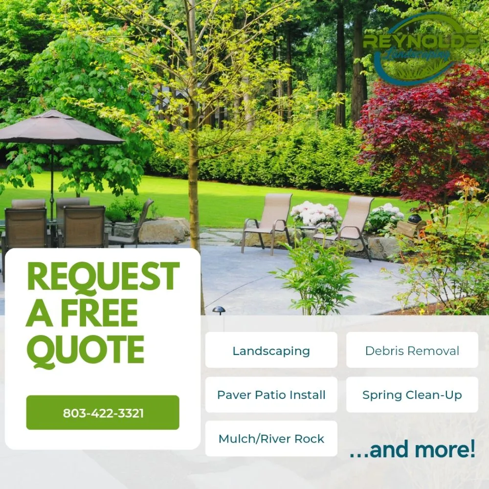Professional outdoor landscaping in Myrtle Beach, SC by Reynolds Landscaping