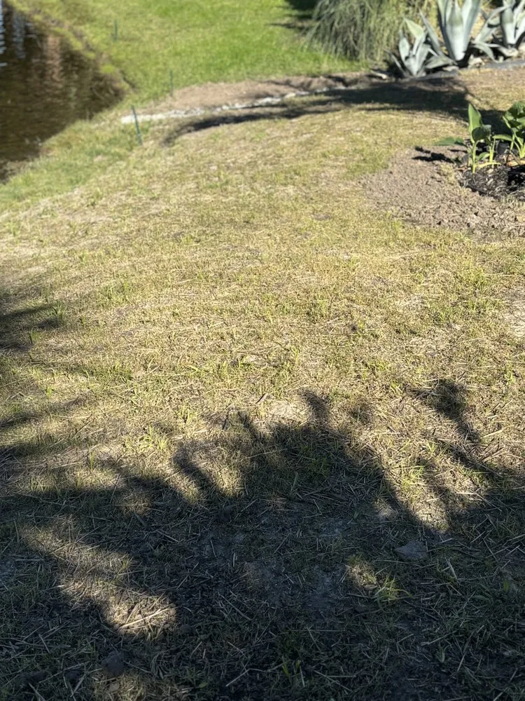 Top-rated residential landscaping in Myrtle Beach, SC by Reynolds Landscaping