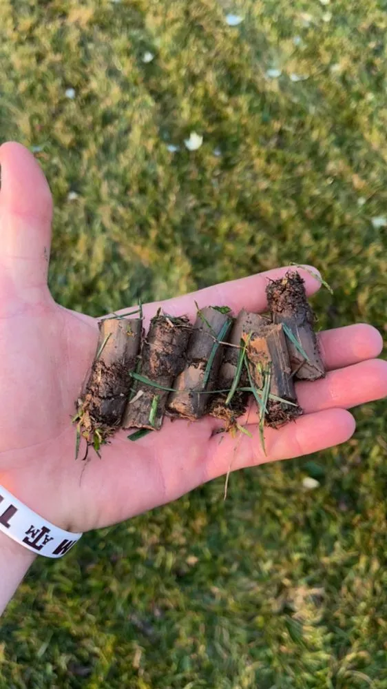 Expert lawn mowing service in Tonganoxie, KS by Reynolds Lawn & Landscape