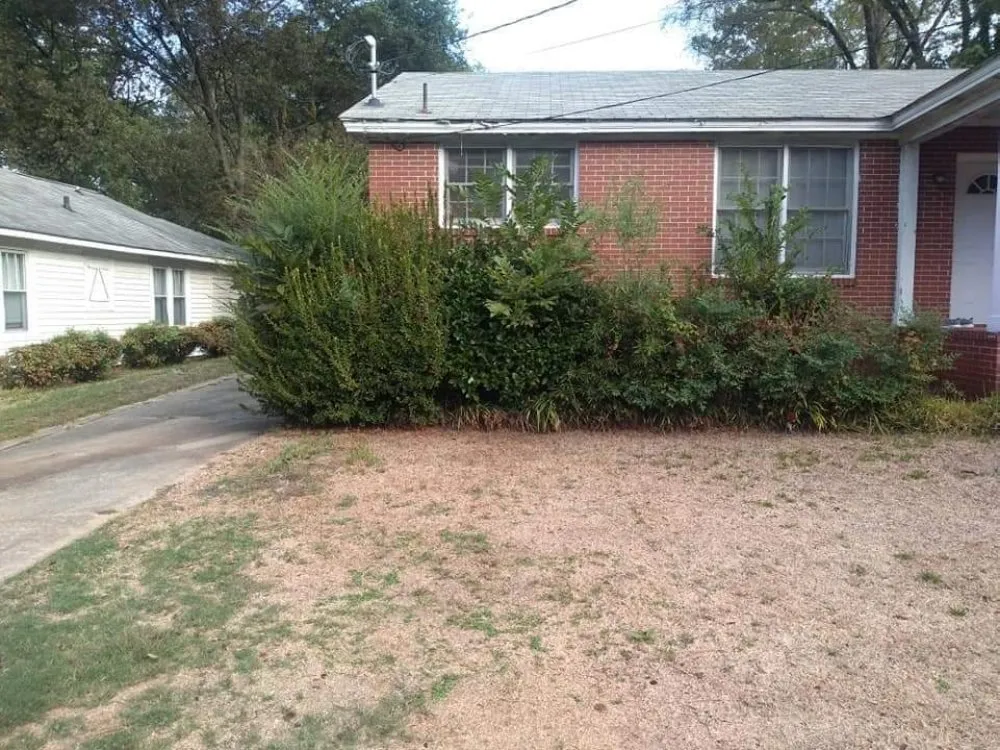 Reliable yard cleanup service experts serving Sparta, GA - Reynolds Lawn Care And More